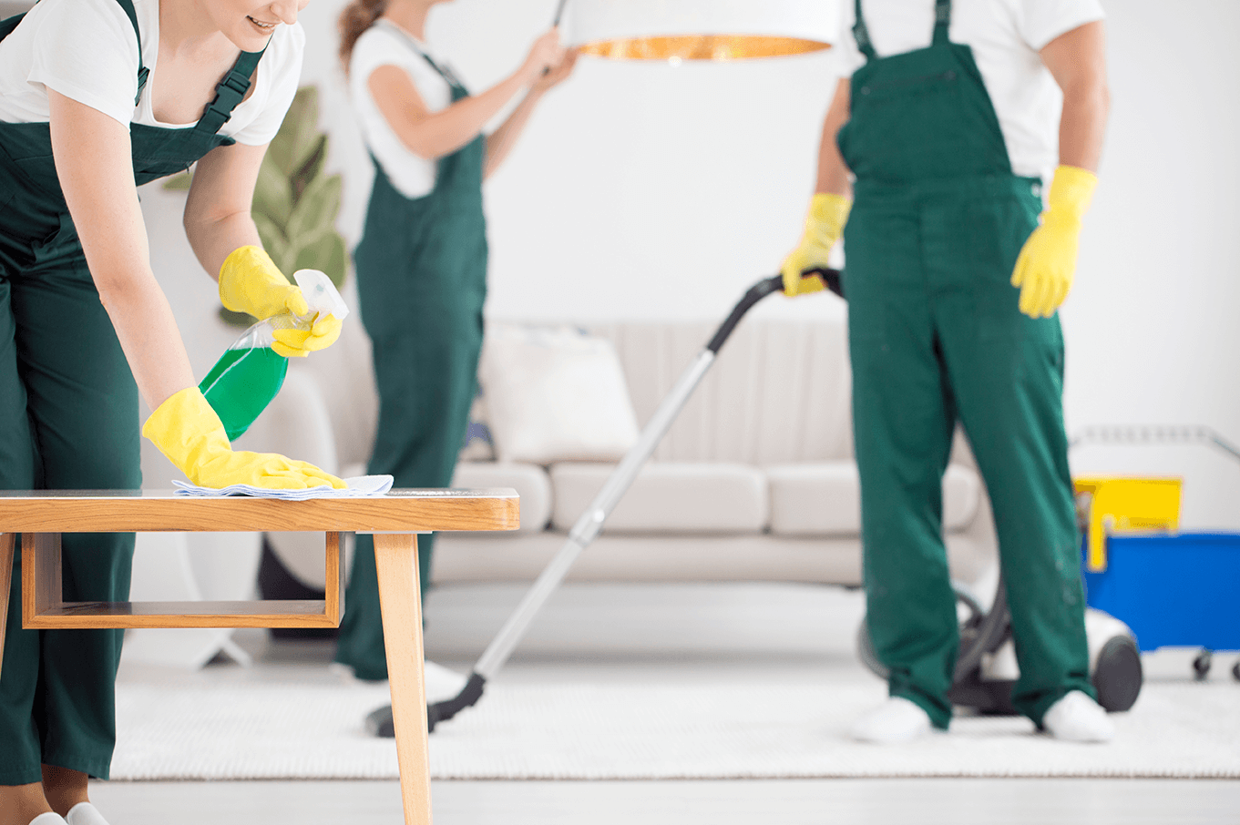McMaid house cleaning team serving Arlington Heights, IL